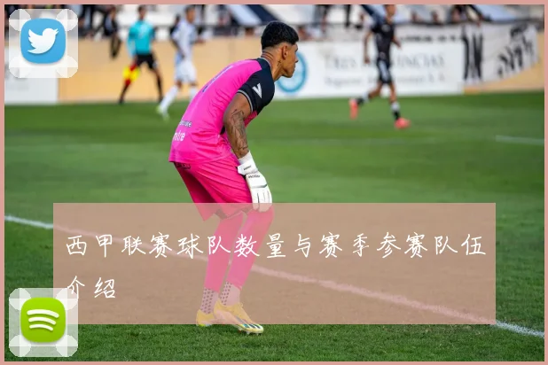 西甲联赛球队数量与赛季参赛队伍介绍